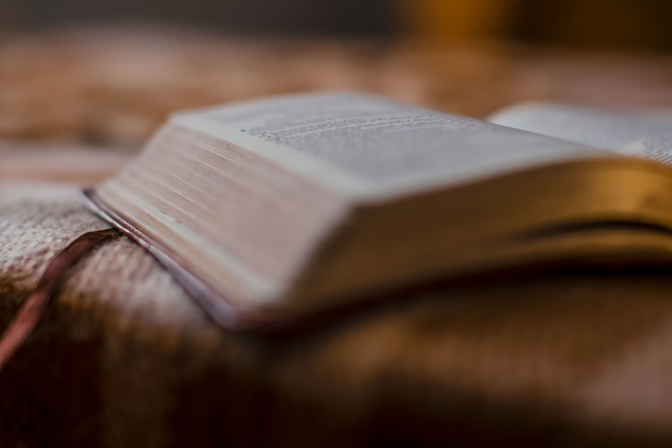 Author Interviews: Insights from the Pros